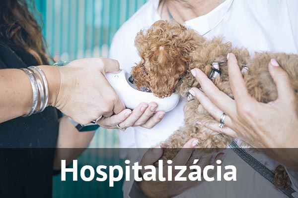 Hospitalizácia zvierat