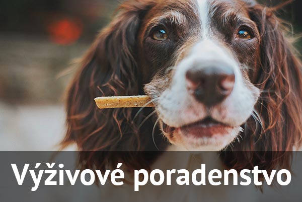 Výživové poradenstvo pre psov